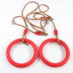 Fitness Swing Rings
